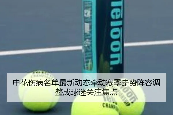 申花伤病名单最新动态牵动赛季走势阵容调整成球迷关注焦点